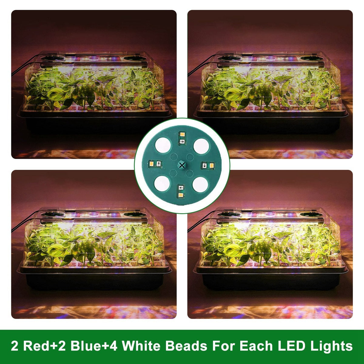 2Pcs 40 Cells Seed Starter Tray Plant Grow Light with 4 Adjustable Brightness Automatic Timing Setting Humidity Dome Plant Germination Garden