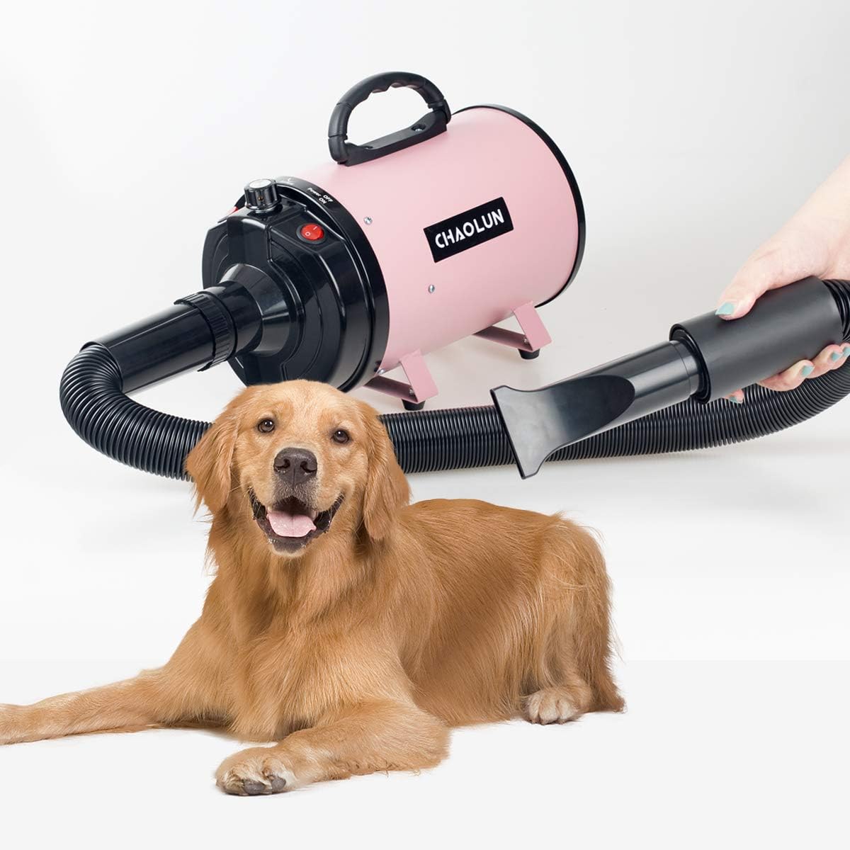 PET CARRIER