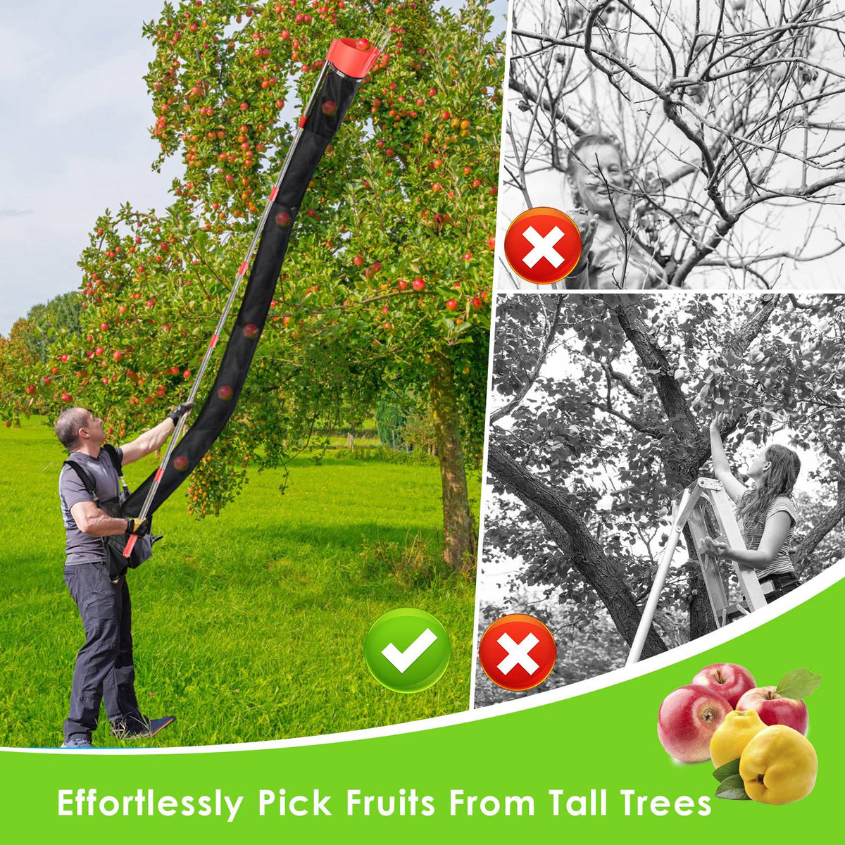 13.43FT High Reach Fruit Picker Pole with Harvest Bag Heavy Duty Fruit Picking Tool with Basket Funnels Collection Bag for Mango Avocado Lemon Apples