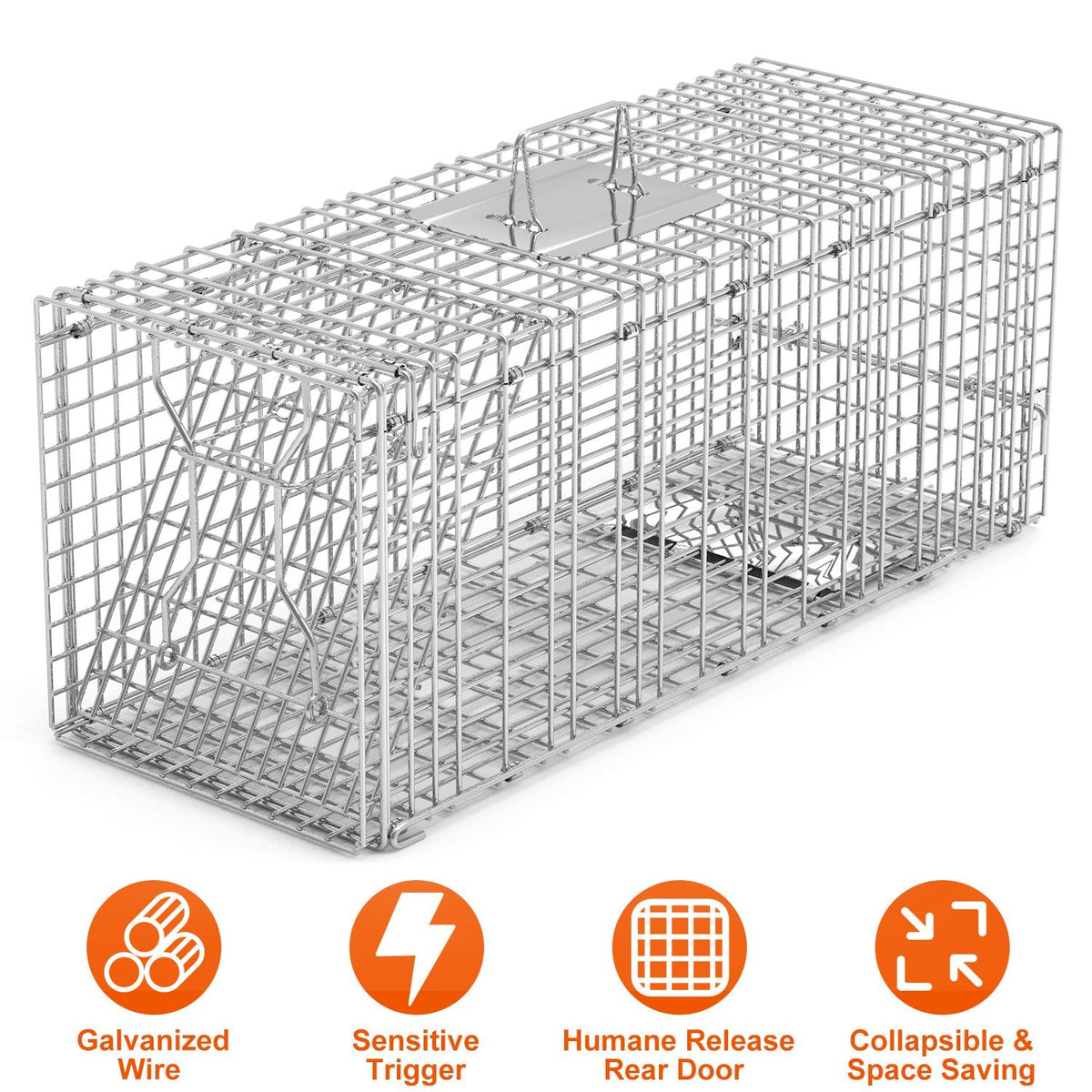 Humane Cat Trap Cage Catch Release Live Animal Rodent Cage Collapsible Galvanized Wire for Raccoons Beavers Groundhogs Foxes Armadillos