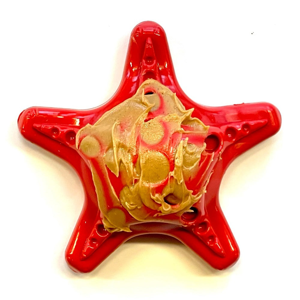 Starfish Nylon Dog Chew Toy for Aggressive Chewers | USA Made | SodaPup