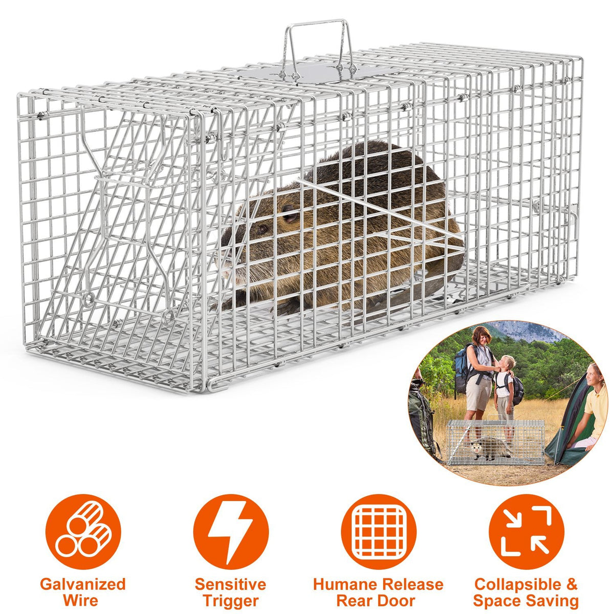Humane Cat Trap Cage Catch Release Live Animal Rodent Cage Collapsible Galvanized Wire for Raccoons Beavers Groundhogs Foxes Armadillos