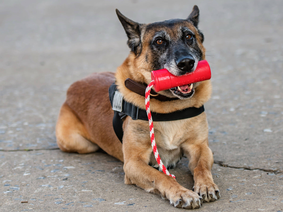 USA-K9 Firecracker Floating Training Dummy | K9 Handler Reward Toy | Red | USA Made